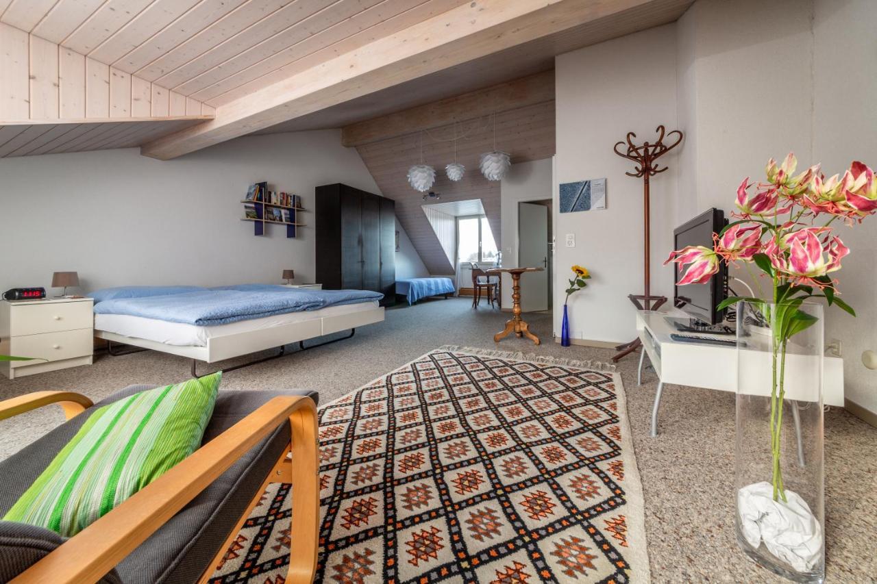 Bed and Breakfast Mybednbreakfast In Bottmingen Экстерьер фото