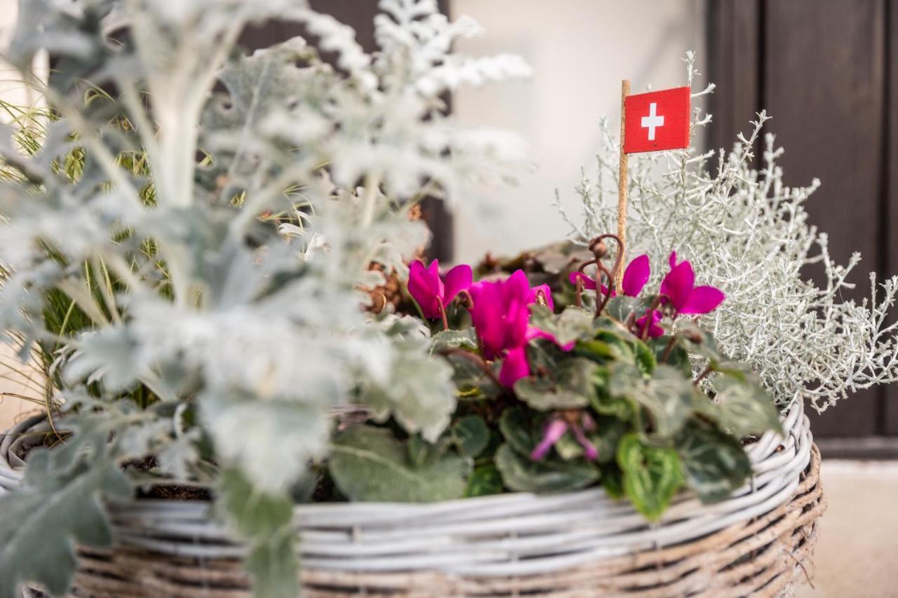 Bed and Breakfast Mybednbreakfast In Bottmingen Экстерьер фото